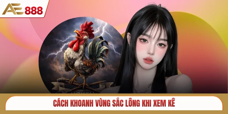 Cách khoanh vùng sắc lông khi xem kê