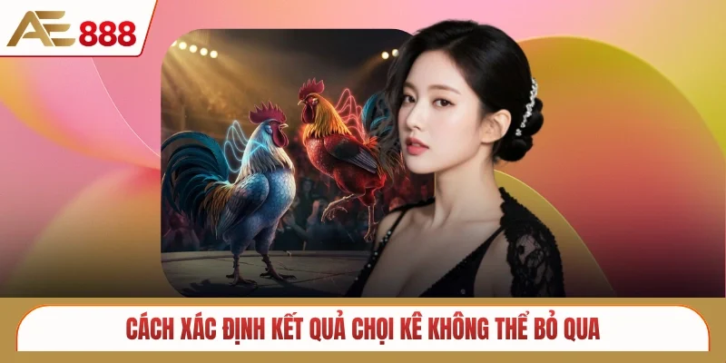 Cách xác định kết quả chọi kê không thể bỏ qua