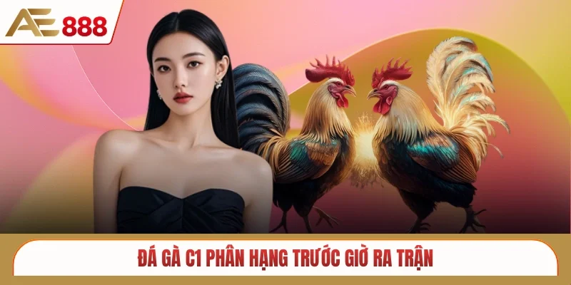 Đá gà C1 phân hạng trước giờ ra trận