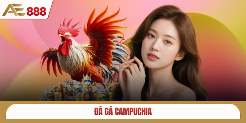 Đá gà Campuchia