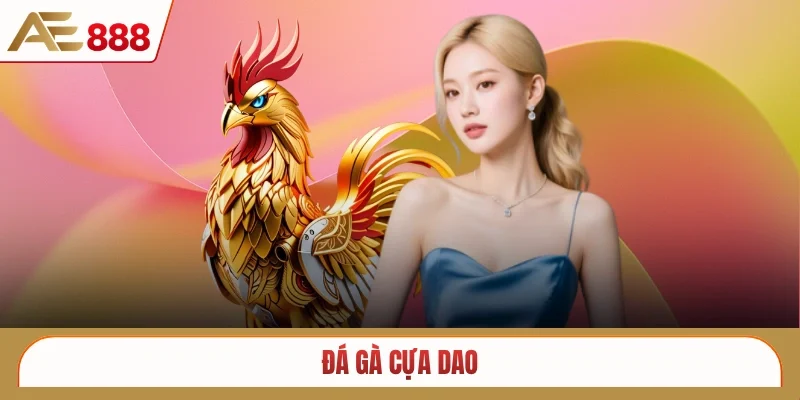 Đá gà cựa dao