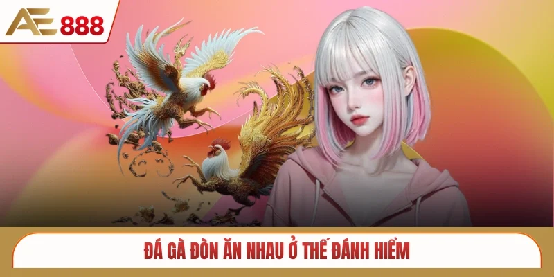 Đá gà đòn ăn nhau ở thế đánh hiểm