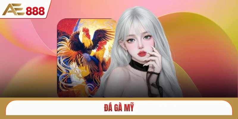 Đá gà Mỹ