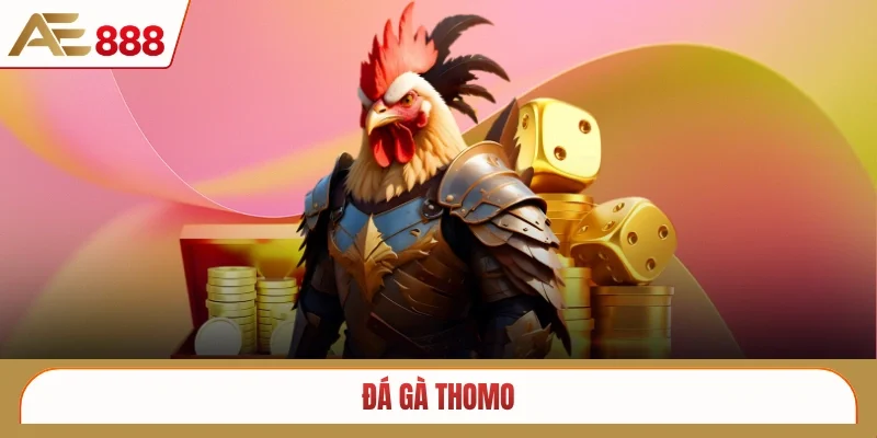 Đá gà thomo