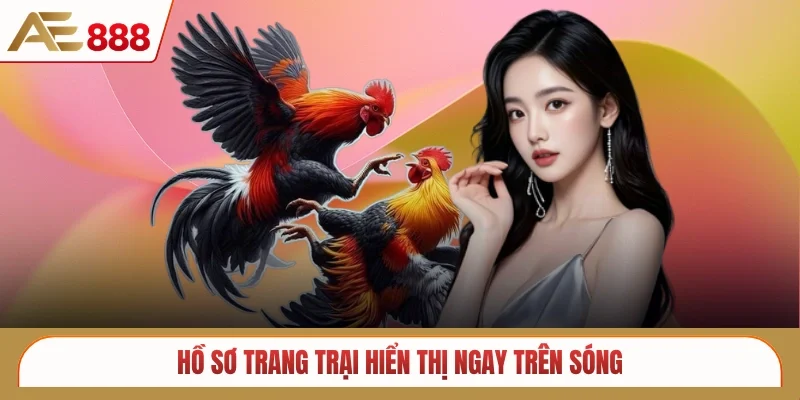 Hồ sơ trang trại hiển thị ngay trên sóng