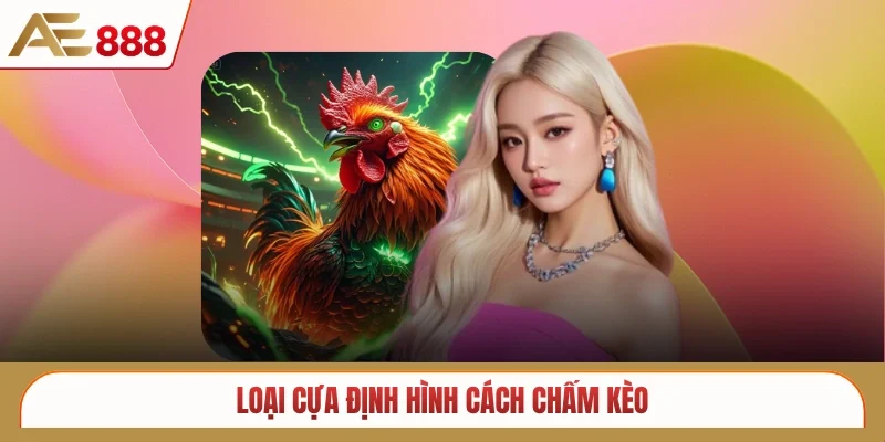 Loại cựa định hình cách chấm kèo