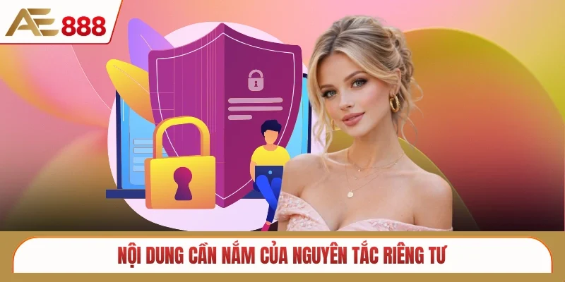 Nội dung cần nắm của nguyên tắc riêng tư