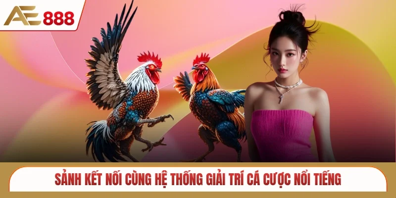 Sảnh kết nối cùng hệ thống giải trí cá cược nổi tiếng