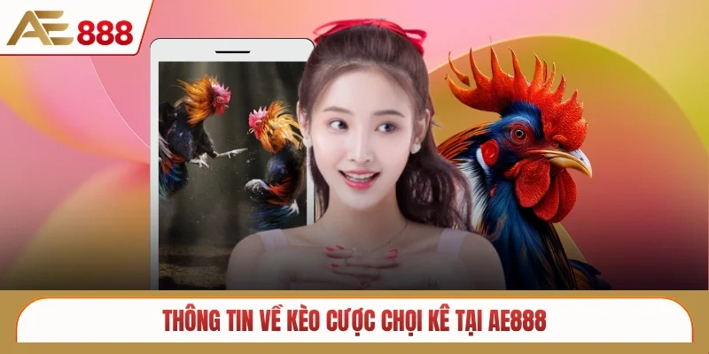 Thông tin về kèo cược chọi kê tại AE888