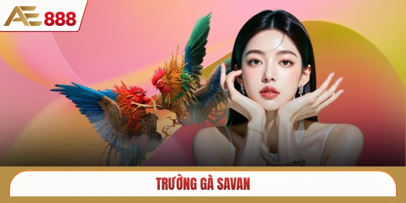 Trường gà Savan
